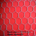 high quality Hexagonal wire Netting